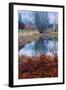 Autumn Pond Reflections, Calistoga Napa Valley-Vincent James-Framed Photographic Print