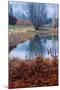 Autumn Pond Reflections, Calistoga Napa Valley-Vincent James-Mounted Photographic Print