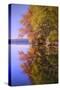 Autumn Pond Reflections, New Hampshire-Vincent James-Stretched Canvas