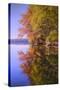 Autumn Pond Reflections, New Hampshire-Vincent James-Stretched Canvas