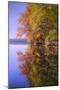 Autumn Pond Reflections, New Hampshire-Vincent James-Mounted Photographic Print