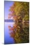 Autumn Pond Reflections, New Hampshire-Vincent James-Mounted Photographic Print