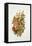 Autumn posy-Nell Hill-Framed Stretched Canvas