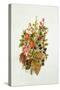 Autumn posy-Nell Hill-Stretched Canvas