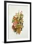 Autumn posy-Nell Hill-Framed Giclee Print