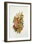 Autumn posy-Nell Hill-Framed Giclee Print