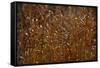 Autumn Prairie-Steve Gadomski-Framed Stretched Canvas