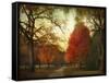 Autumn Promenade-Jessica Jenney-Framed Stretched Canvas