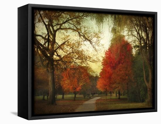 Autumn Promenade-Jessica Jenney-Framed Stretched Canvas