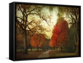 Autumn Promenade-Jessica Jenney-Framed Stretched Canvas