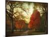 Autumn Promenade-Jessica Jenney-Mounted Giclee Print