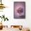 Autumn Purple Flower in a Vase-egal-Framed Stretched Canvas displayed on a wall