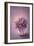 Autumn Purple Flower in a Vase-egal-Framed Art Print