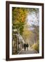 Autumn, Quebec City, Quebec, Canada-Cindy Miller Hopkins-Framed Photographic Print