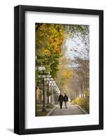 Autumn, Quebec City, Quebec, Canada-Cindy Miller Hopkins-Framed Photographic Print