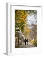 Autumn, Quebec City, Quebec, Canada-Cindy Miller Hopkins-Framed Photographic Print