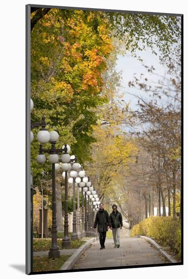 Autumn, Quebec City, Quebec, Canada-Cindy Miller Hopkins-Mounted Photographic Print