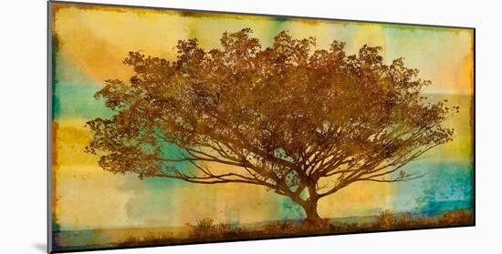 Autumn Radiance-Mark Chandon-Mounted Giclee Print