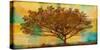 Autumn Radiance-Mark Chandon-Stretched Canvas