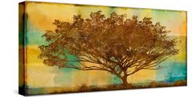 Autumn Radiance-Mark Chandon-Stretched Canvas