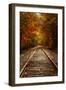 Autumn Railroad Glow, Deep Fall, New Hampshire-Vincent James-Framed Photographic Print