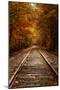 Autumn Railroad Glow, Deep Fall, New Hampshire-Vincent James-Mounted Photographic Print