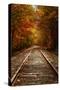 Autumn Railroad Glow, Deep Fall, New Hampshire-Vincent James-Stretched Canvas