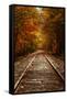 Autumn Railroad Glow, Deep Fall, New Hampshire-Vincent James-Framed Stretched Canvas