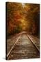 Autumn Railroad Glow, Deep Fall, New Hampshire-Vincent James-Stretched Canvas