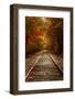 Autumn Railroad Glow, Deep Fall, New Hampshire-Vincent James-Framed Photographic Print