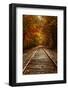 Autumn Railroad Glow, Deep Fall, New Hampshire-Vincent James-Framed Photographic Print