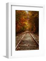 Autumn Railroad Glow, Deep Fall, New Hampshire-Vincent James-Framed Photographic Print