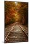 Autumn Railroad Glow, Deep Fall, New Hampshire-Vincent James-Mounted Photographic Print