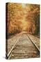 Autumn Railroad, New Engalnd Fall Foilage-Vincent James-Stretched Canvas