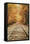 Autumn Railroad, New Engalnd Fall Foilage-Vincent James-Framed Stretched Canvas