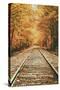 Autumn Railroad, New Engalnd Fall Foilage-Vincent James-Stretched Canvas