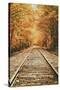Autumn Railroad, New Engalnd Fall Foilage-Vincent James-Stretched Canvas