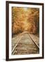 Autumn Railroad, New Engalnd Fall Foilage-Vincent James-Framed Premium Photographic Print