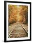 Autumn Railroad, New Engalnd Fall Foilage-Vincent James-Framed Premium Photographic Print