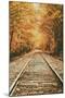 Autumn Railroad, New Engalnd Fall Foilage-Vincent James-Mounted Premium Photographic Print