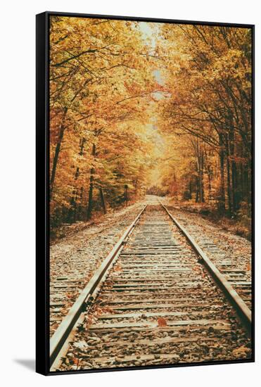 Autumn Railroad, New Engalnd Fall Foilage-Vincent James-Framed Stretched Canvas