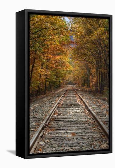 Autumn Railroad Tracks, White Mountain, New Hampshire-Vincent James-Framed Stretched Canvas