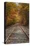 Autumn Railroad Tracks, White Mountain, New Hampshire-Vincent James-Stretched Canvas