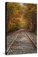 Autumn Railroad Tracks, White Mountain, New Hampshire-Vincent James-Stretched Canvas