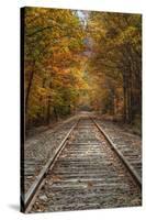 Autumn Railroad Tracks, White Mountain, New Hampshire-Vincent James-Stretched Canvas