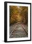 Autumn Railroad Tracks, White Mountain, New Hampshire-Vincent James-Framed Premium Photographic Print