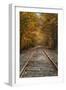 Autumn Railroad Tracks, White Mountain, New Hampshire-Vincent James-Framed Premium Photographic Print