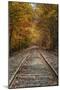 Autumn Railroad Tracks, White Mountain, New Hampshire-Vincent James-Mounted Premium Photographic Print