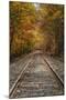 Autumn Railroad Tracks, White Mountain, New Hampshire-Vincent James-Mounted Premium Photographic Print