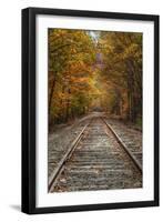 Autumn Railroad Tracks, White Mountain, New Hampshire-Vincent James-Framed Photographic Print